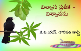 విశ్వాస ప్రతీక - విశ్వావసు