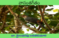 వాసంతగీతం