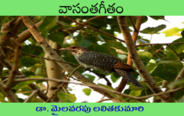 వాసంతగీతం