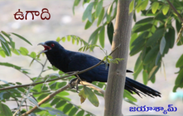ఉగాది..!