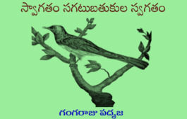 స్వాగతం సగటుబతుకుల స్వగతం