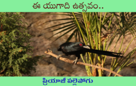 ఈ యుగాది ఉత్సవం..
