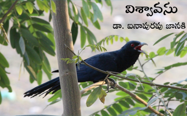 విశ్వావసు