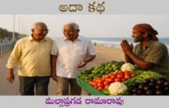 అదా కథ