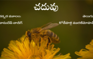 చదువు