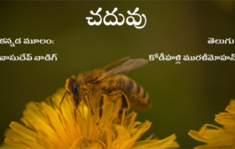 చదువు