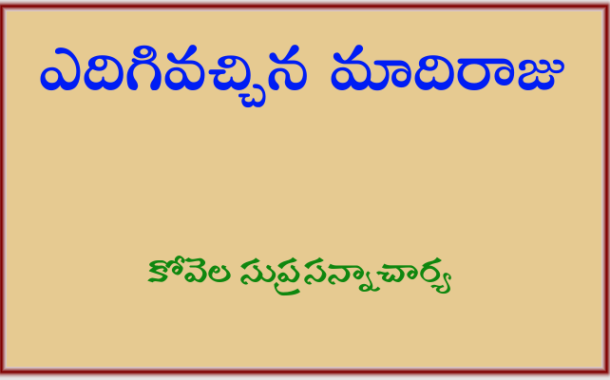 ఎదిగివచ్చిన మాదిరాజు
