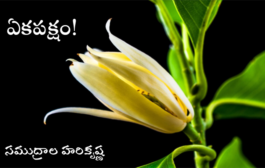 ఏకపక్షం!