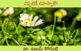 ఎప్పటికీ రహస్యాలే!