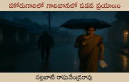హోరుగాలిలో గాలివానలో పడవ ప్రయాణం