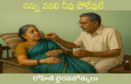 నన్ను వదలి నీవు పోలేవులే