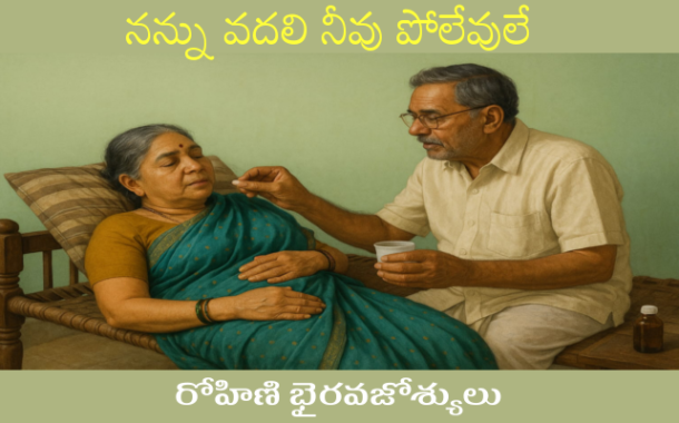 నన్ను వదలి నీవు పోలేవులే