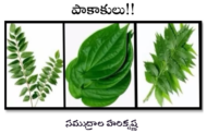 పాకాకులు!!