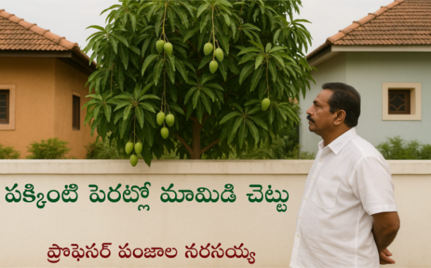 పక్కింటి పెరట్లో మామిడి చెట్టు