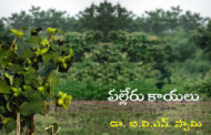 ‘పల్లేరు కాయలు’ కొత్త ధారావాహిక ప్రారంభం - ప్రకటన