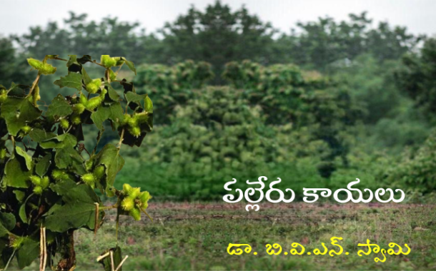 ‘పల్లేరు కాయలు’ కొత్త ధారావాహిక ప్రారంభం - ప్రకటన