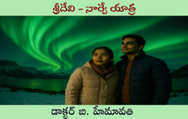 శ్రీదేవి - నార్వే యాత్ర