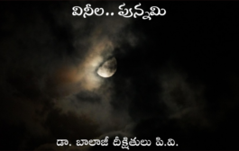 వినీల.. పున్నమి