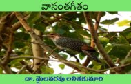వాసంతగీతం