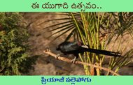 ఈ యుగాది ఉత్సవం..
