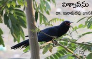 విశ్వావసు
