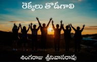 రెక్కలు తొడగాలి