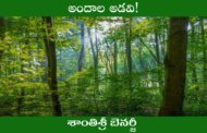 అందాల అడవి!