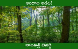 అందాల అడవి!