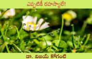 ఎప్పటికీ రహస్యాలే!