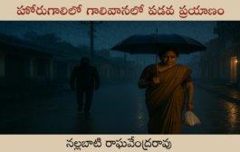 హోరుగాలిలో గాలివానలో పడవ ప్రయాణం