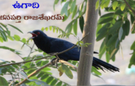 ఉగాది