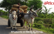 శోకం