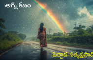 అగ్ని కణం