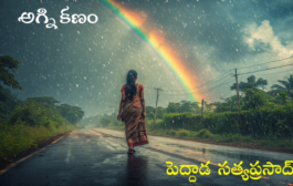 అగ్ని కణం