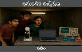 అనుకోని అన్వేషణ