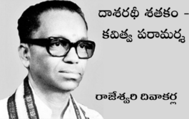 దాశరథీ శతకం - కవిత్వ పరామర్శ