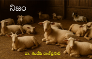 నిజం