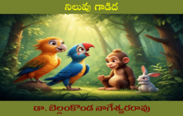 నిలువు గాడిద