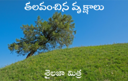 తలవంచిన వృక్షాలు