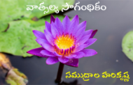 వాత్సల్య సౌగంధికం