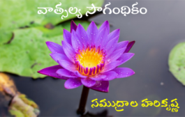 వాత్సల్య సౌగంధికం