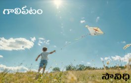 గాలిపటం