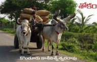 శోకం