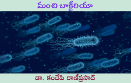 మంచి బ్యాక్టీరియా