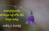 మిథ్యాకర్షణలకు పోవొద్దని గట్టి బోధ చేసే ‘నవ్వని పువ్వు’
