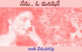నేను.. ఓ మనిషినే