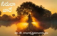 నీరులా జారే