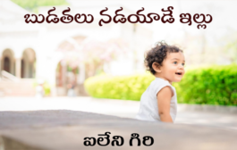 బుడతలు నడయాడే ఇళ్ళు