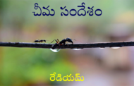 చీమ సందేశం
