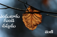 ఎండుటాకు గుండె చప్పుడు